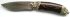 bars-akula-dvmg-sm.jpg